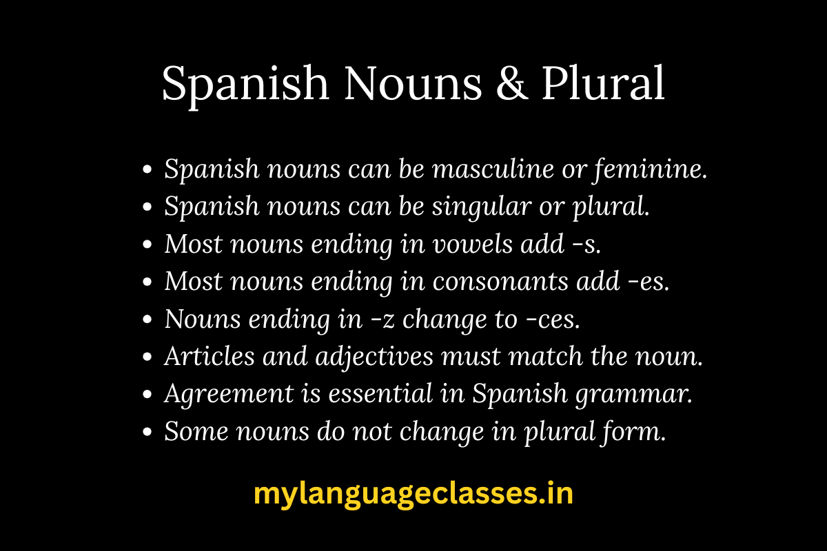 Spanish Nouns and Plural Forms Explained