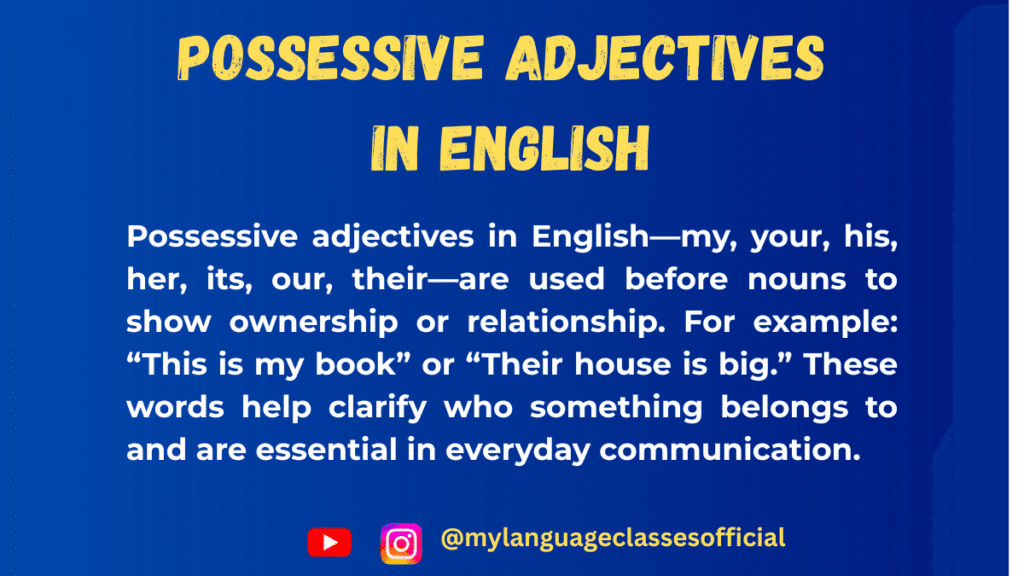 Possessive Adjectives in English: Grammar Rules, Usage & Examples