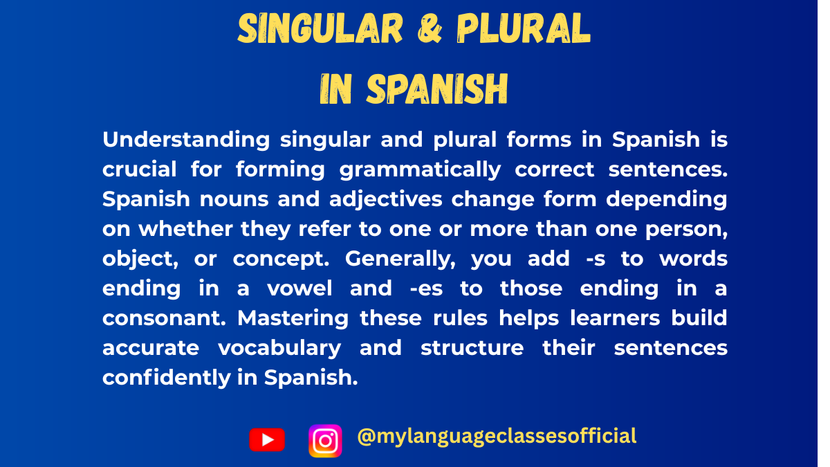 Understanding Spanish Nouns and Plural Forms: A Beginner’s Guide to Basic Spanish Grammar