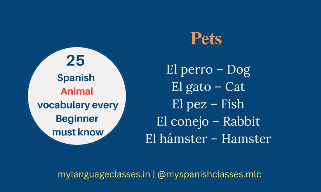 25 Spanish Animals Vocabulary Every Beginner Must Know