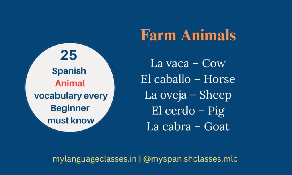 25 Spanish Animals Vocabulary for Beginners – Farm animals vocabulary including vaca (cow), caballo (horse), oveja (sheep), cerdo (pig), and cabra (goat). My Language Classes.