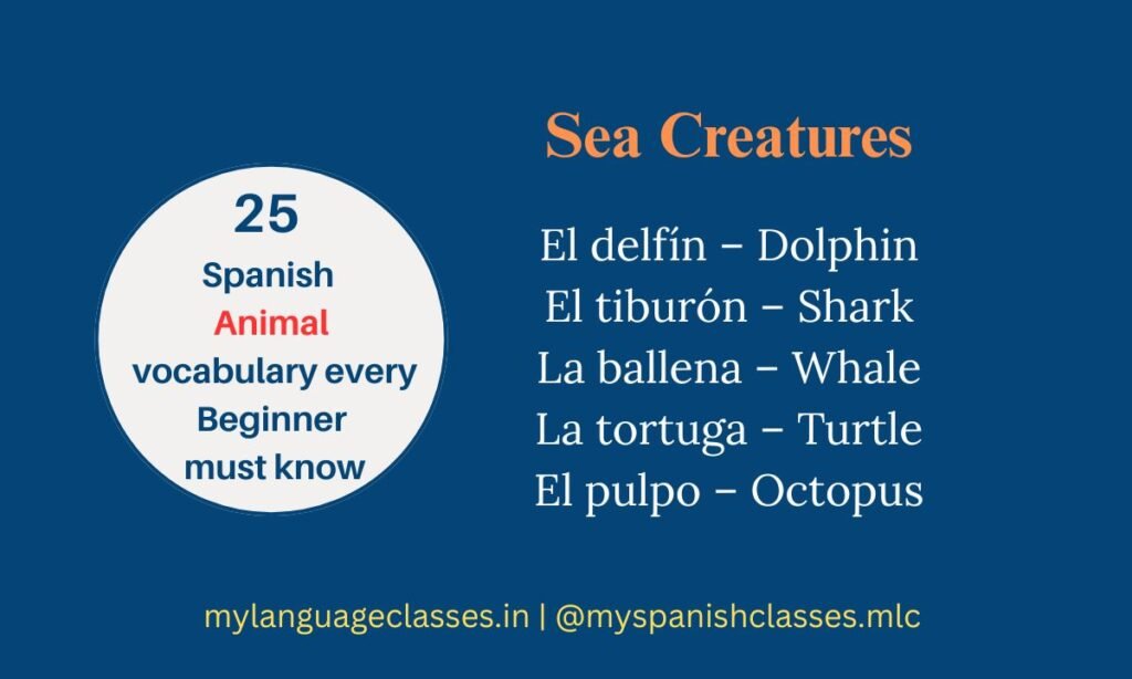 25 Spanish Animals Vocabulary for Beginners – Sea creatures in Spanish including delfín (dolphin), tiburón (shark), ballena (whale), tortuga (turtle), and pulpo (octopus). Learn with My Language Classes.