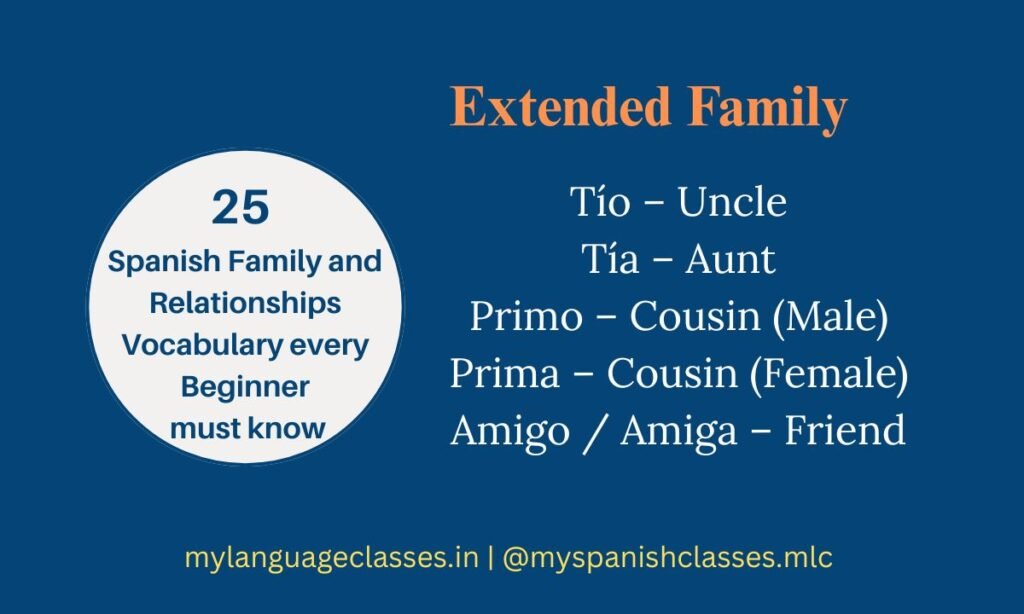 Explore Extended Family and relationships vocabulary with My Language Classes. This beginner guide covers Tío (Uncle), Tía (Aunt), Primo (Male Cousin), Prima (Female Cousin), and Amigo/Amiga (Friend), essential for Spanish conversations about relatives.