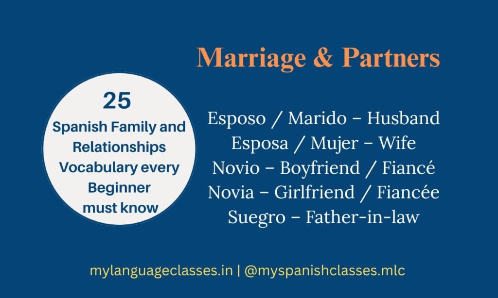 My Language Classes helps you master Spanish Marriage & Partners vocabulary. Learn Esposo/Marido (Husband), Esposa/Mujer (Wife), Novio (Boyfriend/Fiancé), Novia (Girlfriend/Fiancée), and Suegro (Father-in-law) for real-world conversations.