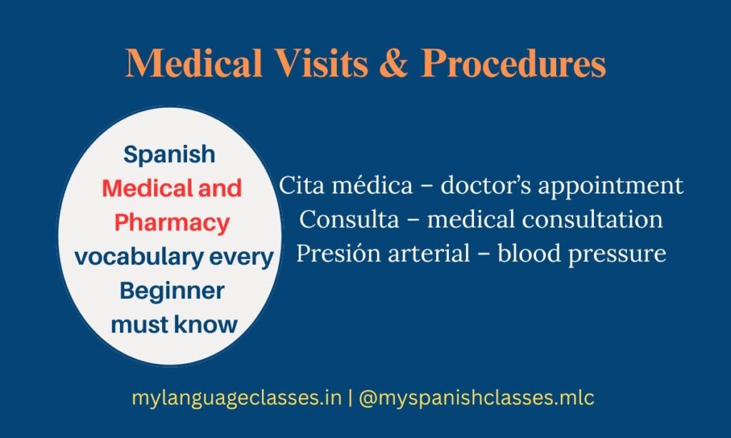 This visual from the Spanish Vocabulary Series by My Language Classes covers essential vocabulary used during medical visits and diagnostic procedures. Included words: Cita médica (doctor’s appointment), Consulta (medical consultation), and Presión arterial (blood pressure). Perfect for beginners learning practical Spanish health vocabulary.