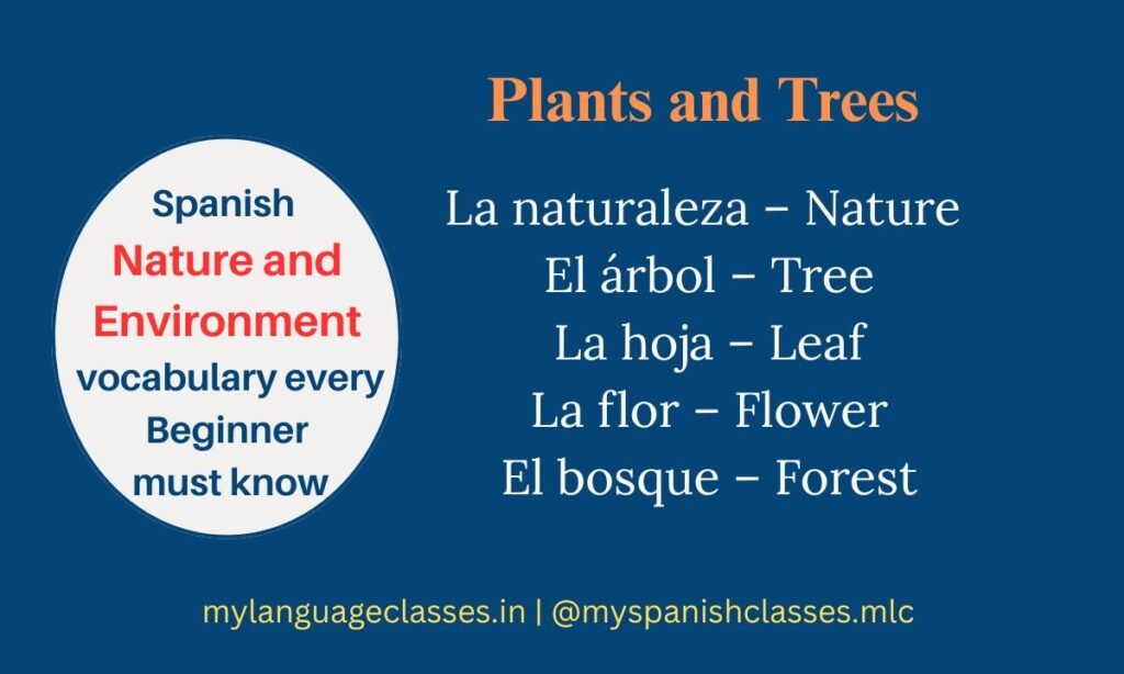 Learn beginner-friendly Spanish words about plants and trees with My Language Classes. This educational graphic includes La naturaleza – Nature, El árbol – Tree, La hoja – Leaf, La flor – Flower, and El bosque – Forest. Ideal for Spanish learners focusing on environment-related vocabulary.