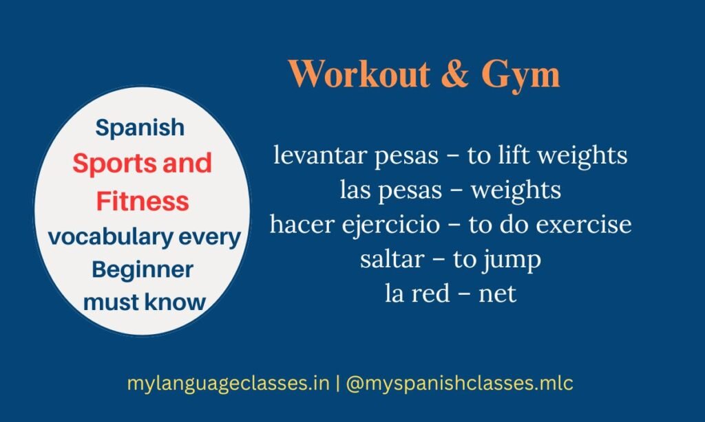 Educational vocabulary chart for Spanish learners featuring common workout and gym terms in Spanish and English. Includes levantar pesas, las pesas, hacer ejercicio, saltar, la red. Designed by My Language Classes to help beginners master Spanish Sports and Fitness Vocabulary.