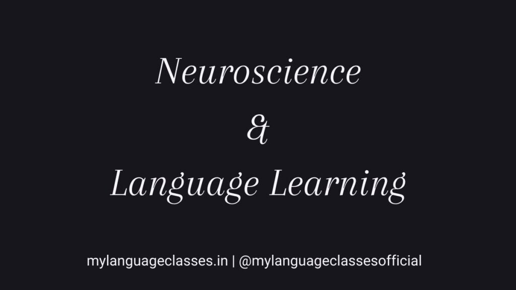 neuroscience and language learning concept explained by My Language Classes showing brain plasticity memory cognitive load and neural language development