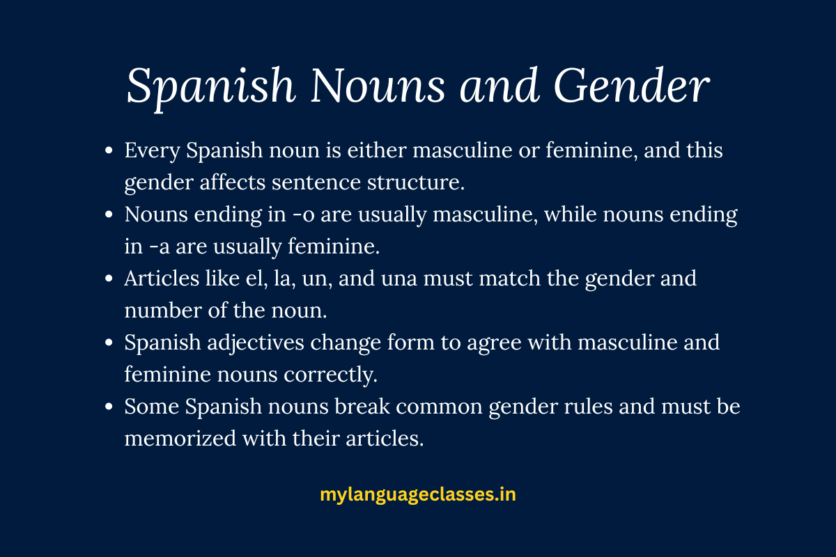 Spanish nouns and gender grammar guide for DELE A1 learners by My Language Classes featuring masculine and feminine noun rules with examples